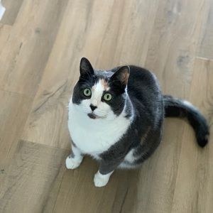 Meet your Posher, Annette